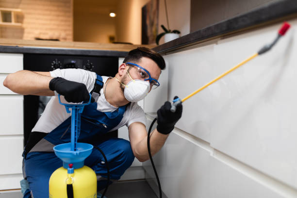 Best Wasp Removal Services  in Redding, CA