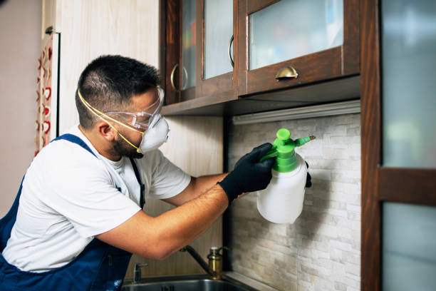 Best Affordable Pest Control Services  in Redding, CA