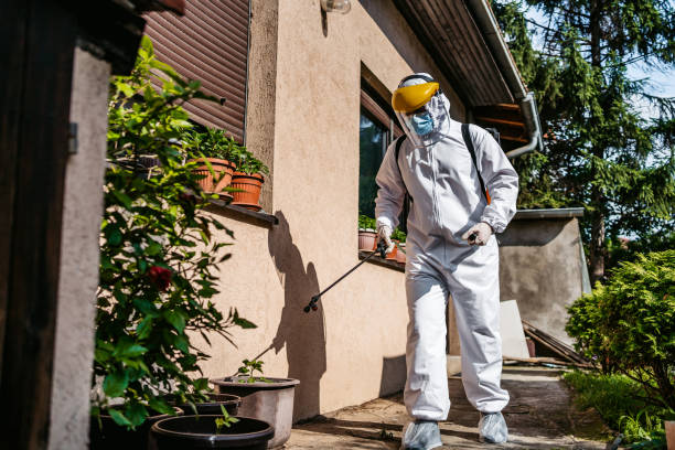 Best Emergency Pest Control  in Redding, CA