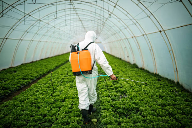 Best Residential Pest Control  in Redding, CA