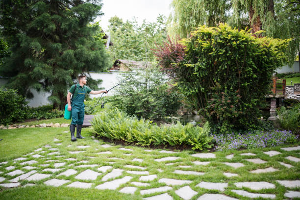 Best Wildlife Control Services  in Redding, CA