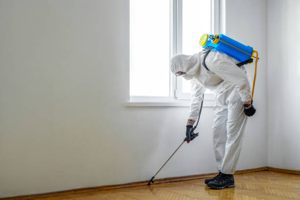 Best Rat Extermination Near Me  in Redding, CA