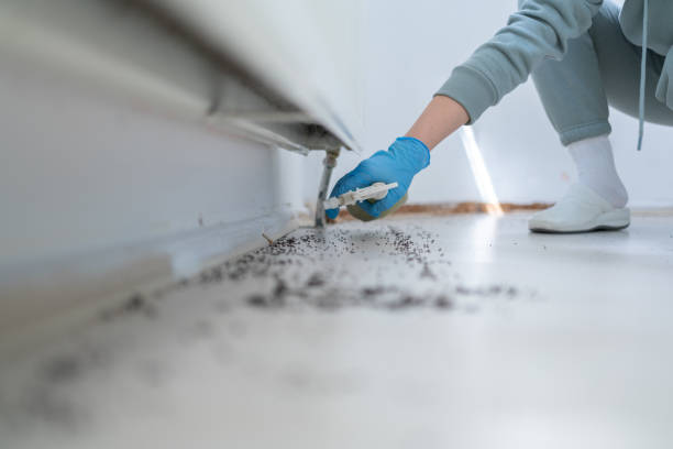 Best Mosquito Control Services  in Redding, CA